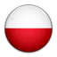 [cml_media_alt id='745']Flag-of-Poland[/cml_media_alt]